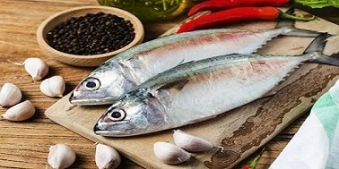 تصویر 4 از قیمت خرید ماهی شیر قباد + فروش ویژه